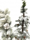  Χριστουγεννιάτικο δέντρο Χιονισμένο Plastic 1.00m 
