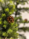  Χριστουγεννιάτικο δέντρο Τσουβαλάκι Plastic 1.70m 