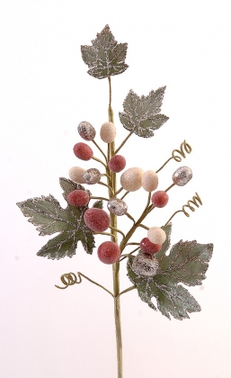    Grape  61    Epilegin.