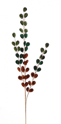    Crystals   81    Epilegin.