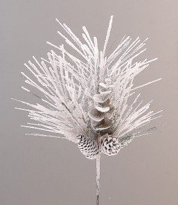 ����������������� ����� Pinecones ���������� ������� 46�� ��� ��� ������� Epilegin.