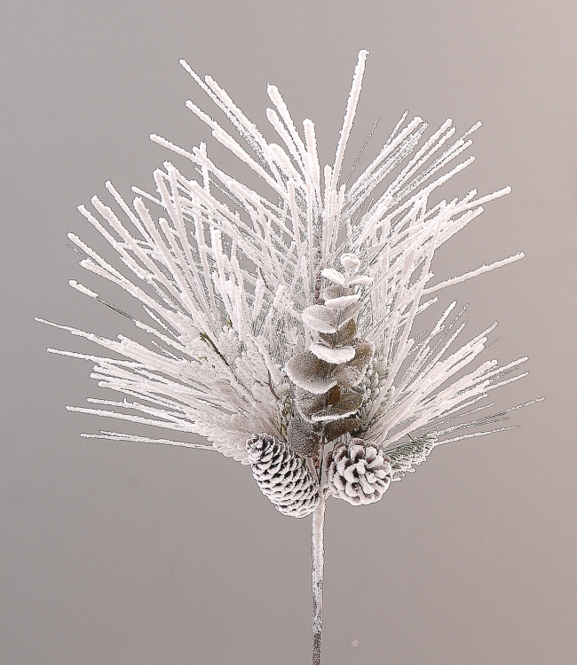  ����������������� ����� "Pinecones" ���������� ������� 46�� ��� ��� ������� Epilegin. 