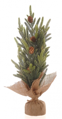 ����������������� plastic �������� Pinecones �� ������� 52�� ��� ��� ������� Epilegin.