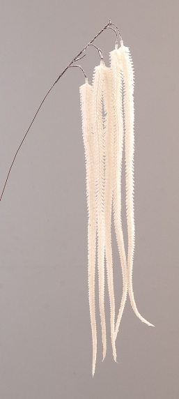    Hanging  110    Epilegin.