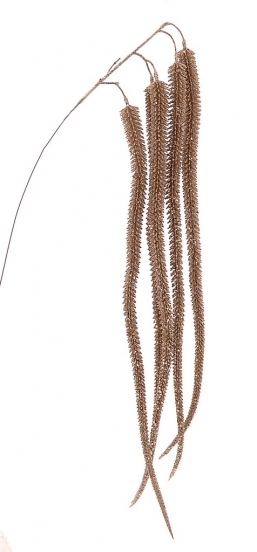    Hanging  110    Epilegin.