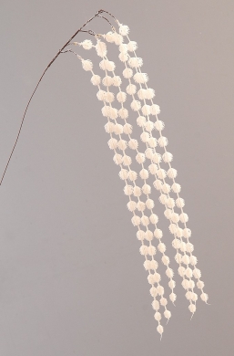    Cotton  110    Epilegin.