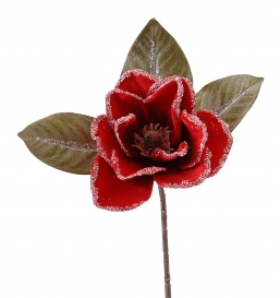    iced  38     Epilegin.