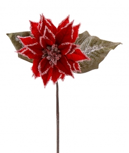     iced  61     Epilegin.