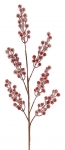      berries   81 