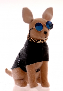 ����������������� �������� ������� Puppy 28�� ��� ��� ������� Epilegin.