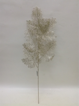    Champnge 84cm    Epilegin.