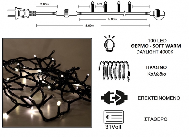  100 LED 31V / & / .  - Soft Warm 5m    Epilegin. 