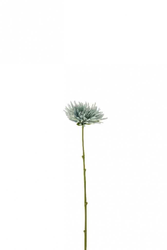      10x8.5x59cm    Epilegin. 