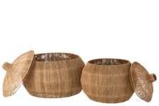      Dantya   55,5xx45cm 