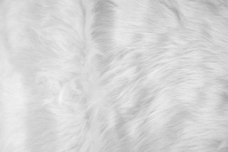     48cm  2.00m     Epilegin.