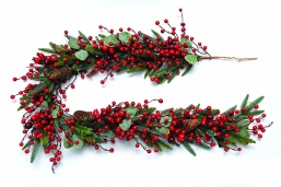    berries &  180    Epilegin.