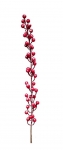        berries 72cm 