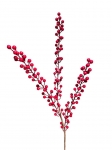       berries 86cm 