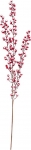        berries 86cm 