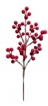       berries 40cm 