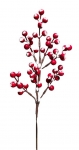        berries 40cm 