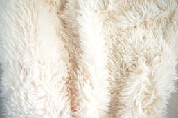   Shaggy Off White 48cm  2.00m     Epilegin.