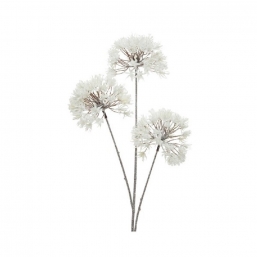    white frost 80cm    Epilegin.