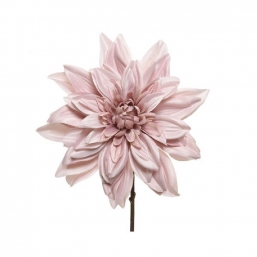    blush pink 67cm    Epilegin.