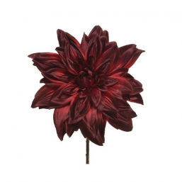    Oxblood 67cm    Epilegin.