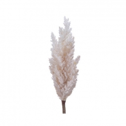 Διακοσμητικό τεχνητό λουλούδι Pampas Cream 90cm από την εταιρία Epilegin. Διακοσμητικό τεχνητό λουλούδι Pampas Cream 90cm από την εταιρία Epilegin.