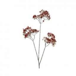    Pinky Red 62cm    Epilegin.