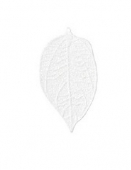   .    7,5    Epilegin.