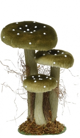  polyester    26    Epilegin.