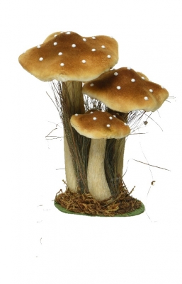  polyester     26    Epilegin.