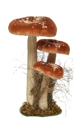  polyester    26    Epilegin.