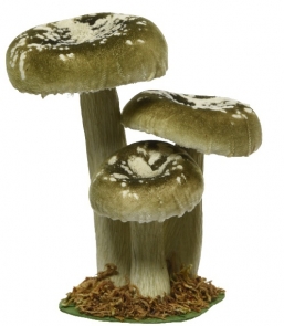  polyester    17    Epilegin.