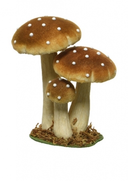  polyester     17    Epilegin.