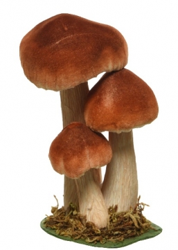  polyester    17    Epilegin.