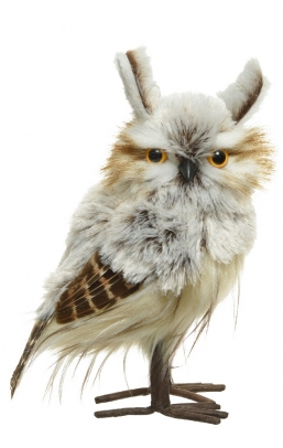  polyester    1510    Epilegin.