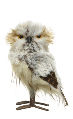  polyester    1510    Epilegin.