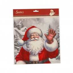 ����������������� ����������� ��������� Santa 30.5x40.5�� ��� ��� ������� Epilegin.