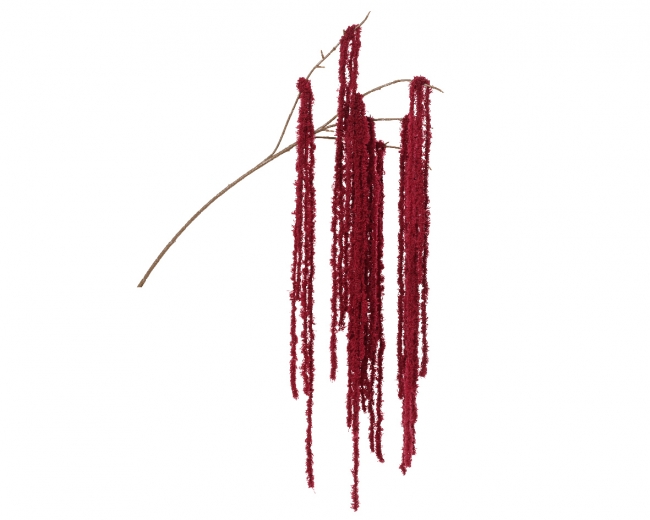     "" burgundy 80    Epilegin. 