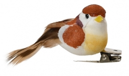      maroon 5,5    Epilegin.