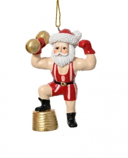  polyresin   Muscle Santa 8    Epilegin.