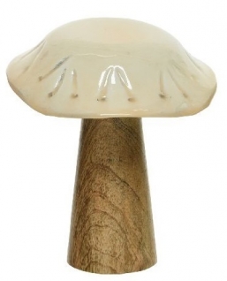      -  14,5    Epilegin.