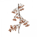      berries Amber Copper 120cm 