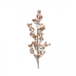      berries Amber Copper 70cm 