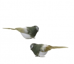 ����������������� ��� 2��� ������� �� ���� Forest Bird ������� 3.5x.10x3.5�� ��� ��� ������� Epilegin.