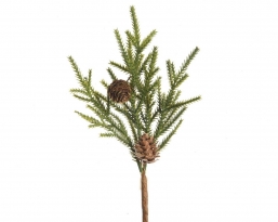����������������� ����� Pinecones ������� �� ����������� 13x24�� ��� ��� ������� Epilegin.