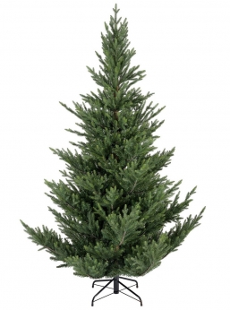 ����������������� ������ PE Mix ��������� Norway Spruce ��� ��� ������� Epilegin.